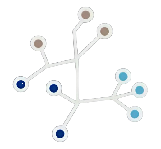 Sociedad Chilena de Antropología Biológica