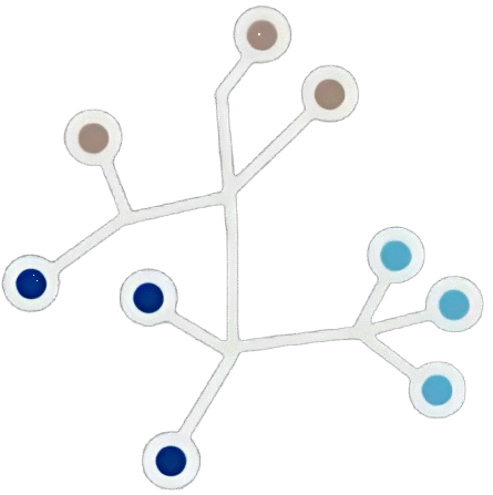 Sociedad Chilena de Antropología Biológica